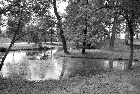 Андрей Гусаров - Гатчина. От прошлого к настоящему. История города и его жителей