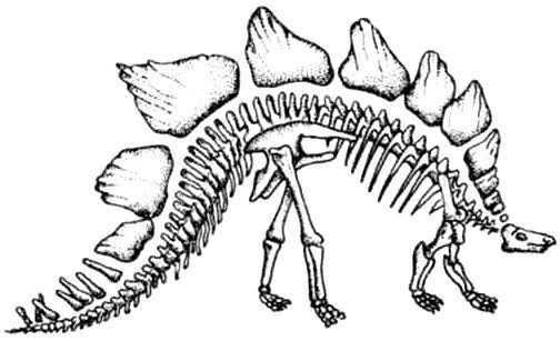 Дугал Диксон - Новые динозавры. Альтернативная эволюция