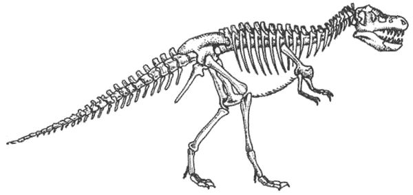 Дугал Диксон - Новые динозавры. Альтернативная эволюция