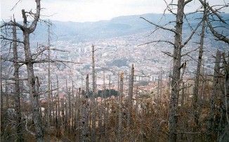 Михаил Поликарпов - Сербский закат