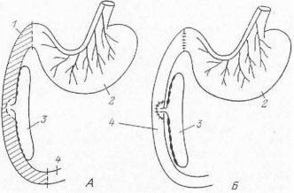Александр Уголев - Теория адекватного питания и трофология
