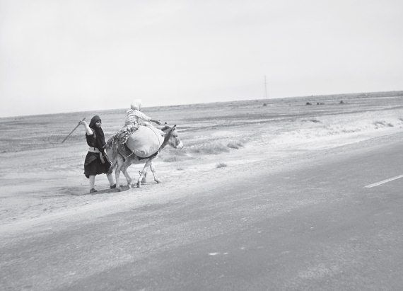 Валерий Гуляев - Шумер. Вавилон. Ассирия: 5000 лет истории