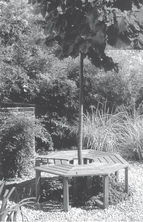 Юрий Харчук - Современный справочник фермера и садовода