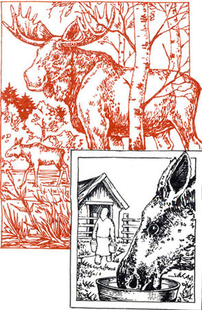 Владислав Хлебович - Пока еще не домашние