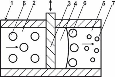 Дмитрий Соколов - Патентование изобретений в области высоких и нанотехнологий