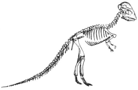 Дугал Диксон - Новые динозавры. Альтернативная эволюция