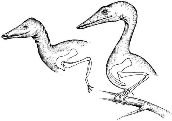 Дугал Диксон - Новые динозавры. Альтернативная эволюция