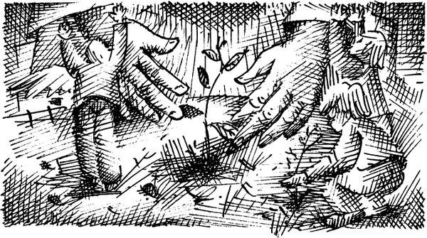 Василий Вахтеров, Константин Сумнительный и др. - О новой педагогике. Избранное