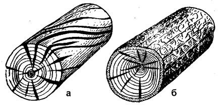 Татьяна Дорошенко - Бани и сауны