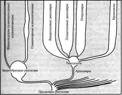 Дугал Диксон - Новые динозавры. Альтернативная эволюция
