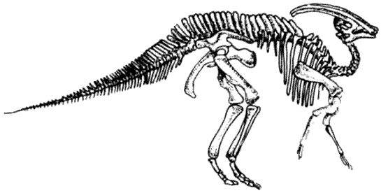 Дугал Диксон - Новые динозавры. Альтернативная эволюция