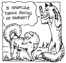 Владислав Хлебович - Пока еще не домашние