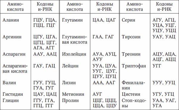 Николай Курчанов - Генетика человека с основами общей генетики. Руководство для...
