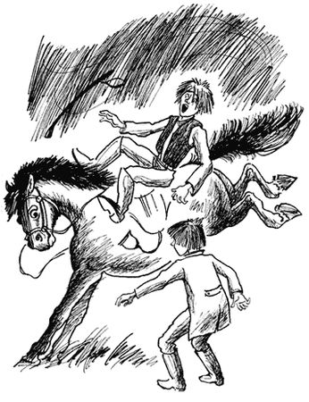 Анна Сьюэлл - Черный Красавчик