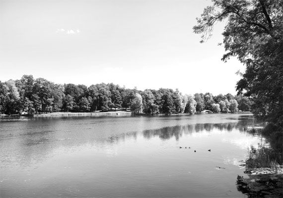 Андрей Гусаров - Гатчина. От прошлого к настоящему. История города и его жителей