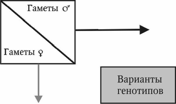 Николай Курчанов - Генетика человека с основами общей генетики. Руководство для...