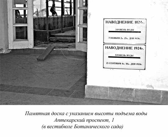 Ким Померанец - Несчастья невских берегов. Из истории петербургских наводнений