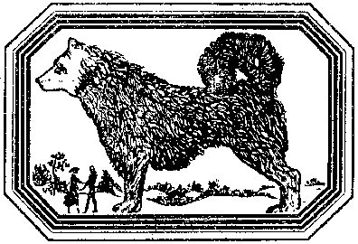 Владимир Короткевич - Чозения