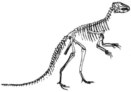 Дугал Диксон - Новые динозавры. Альтернативная эволюция