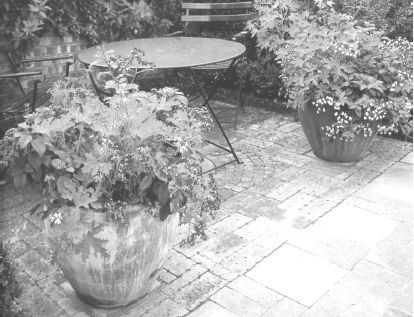 Юрий Харчук - Современный справочник фермера и садовода