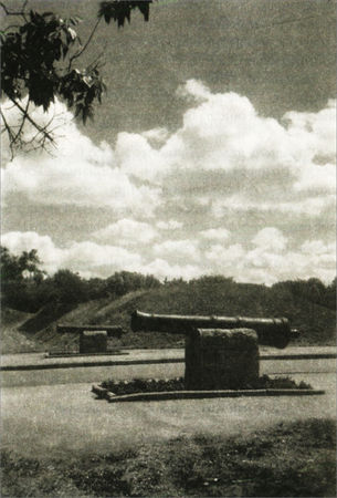 Арсений Тарковский - Судьба моя сгорела между строк