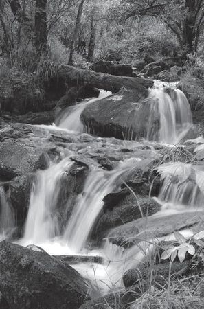 Лариса Соловьева - Дао голоса. Голос как ваш инструмент