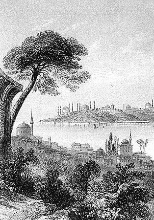 Хестер Дженкинс - Великолепный век Ибрагима-паши. Власть и предательство