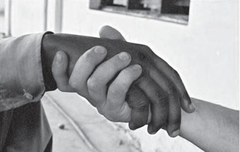 Лев Альтмарк - Серые пятна истории