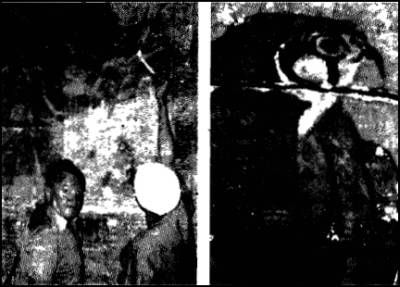 Эрих фон Деникен - Глаза Сфинкса