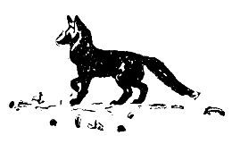 Владимир Арсеньев - Встречи в тайге