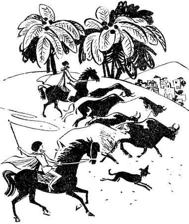 Любовь Воронкова - След огненной жизни