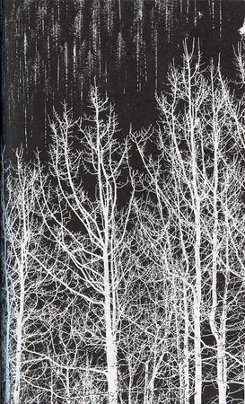 Илья Стогов - Мертвые могут танцевать: Путеводитель на конец света