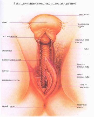 Евгения Фролова - Искусство управления интимными мышцами. Секреты великих...