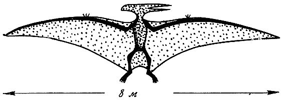Джеймс Гордон - Конструкции, или почему не ломаются вещи
