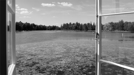 Андрей Гусаров - Гатчина. От прошлого к настоящему. История города и его жителей