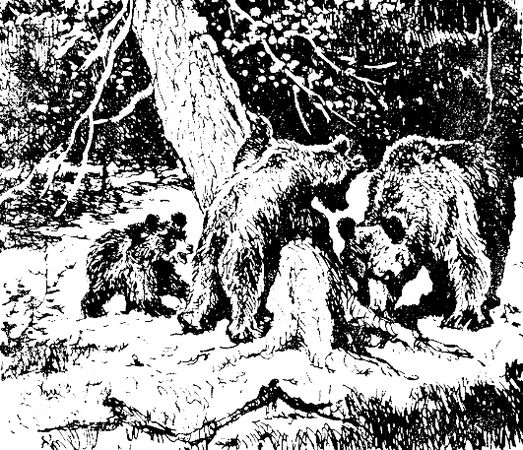 Владимир Арсеньев - Встречи в тайге