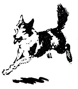 Владимир Арсеньев - Встречи в тайге