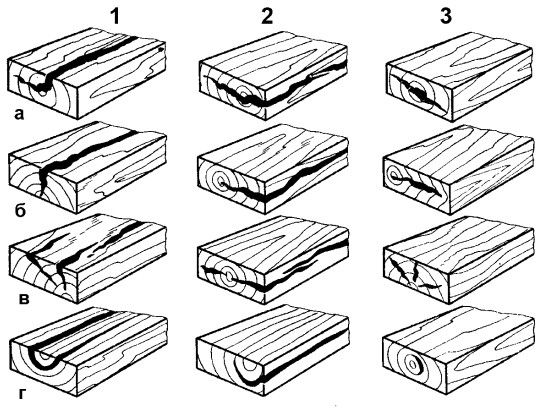 Татьяна Дорошенко - Бани и сауны
