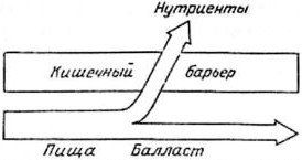 Теория адекватного питания и трофология