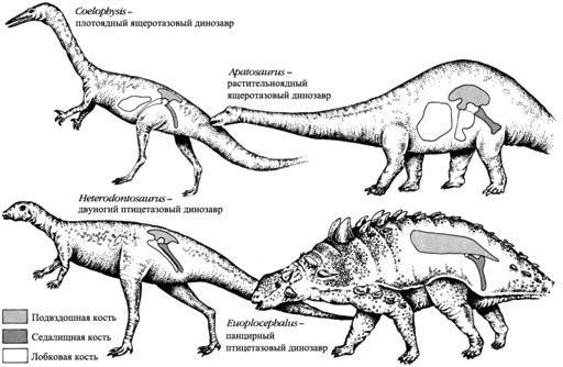 Дугал Диксон - Новые динозавры. Альтернативная эволюция
