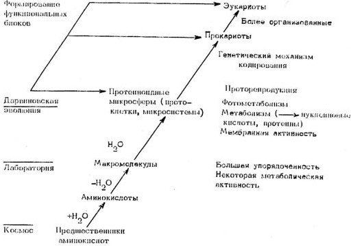 Александр Уголев - Теория адекватного питания и трофология