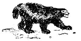 Встречи в тайге