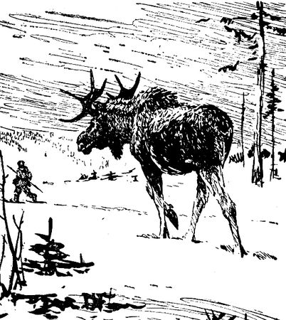 Владимир Арсеньев - Встречи в тайге