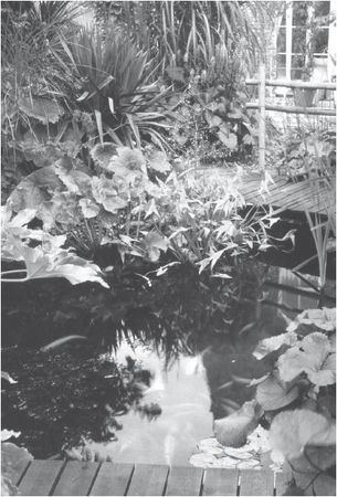 Юрий Харчук - Современный справочник фермера и садовода