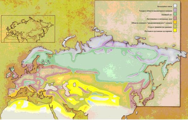 Дугал Диксон - Новые динозавры. Альтернативная эволюция