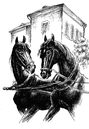 Анна Сьюэлл - Черный Красавчик