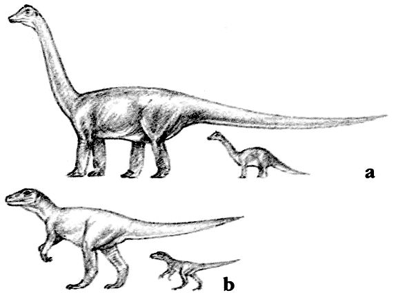 Дугал Диксон - Новые динозавры. Альтернативная эволюция