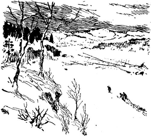 Владимир Арсеньев - Встречи в тайге