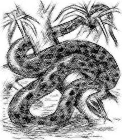 Григорий Хохлов - Доля казачья