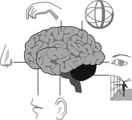 Максимилиан Тайхер, Роберт Грисбек - Прокачай свой мозг!